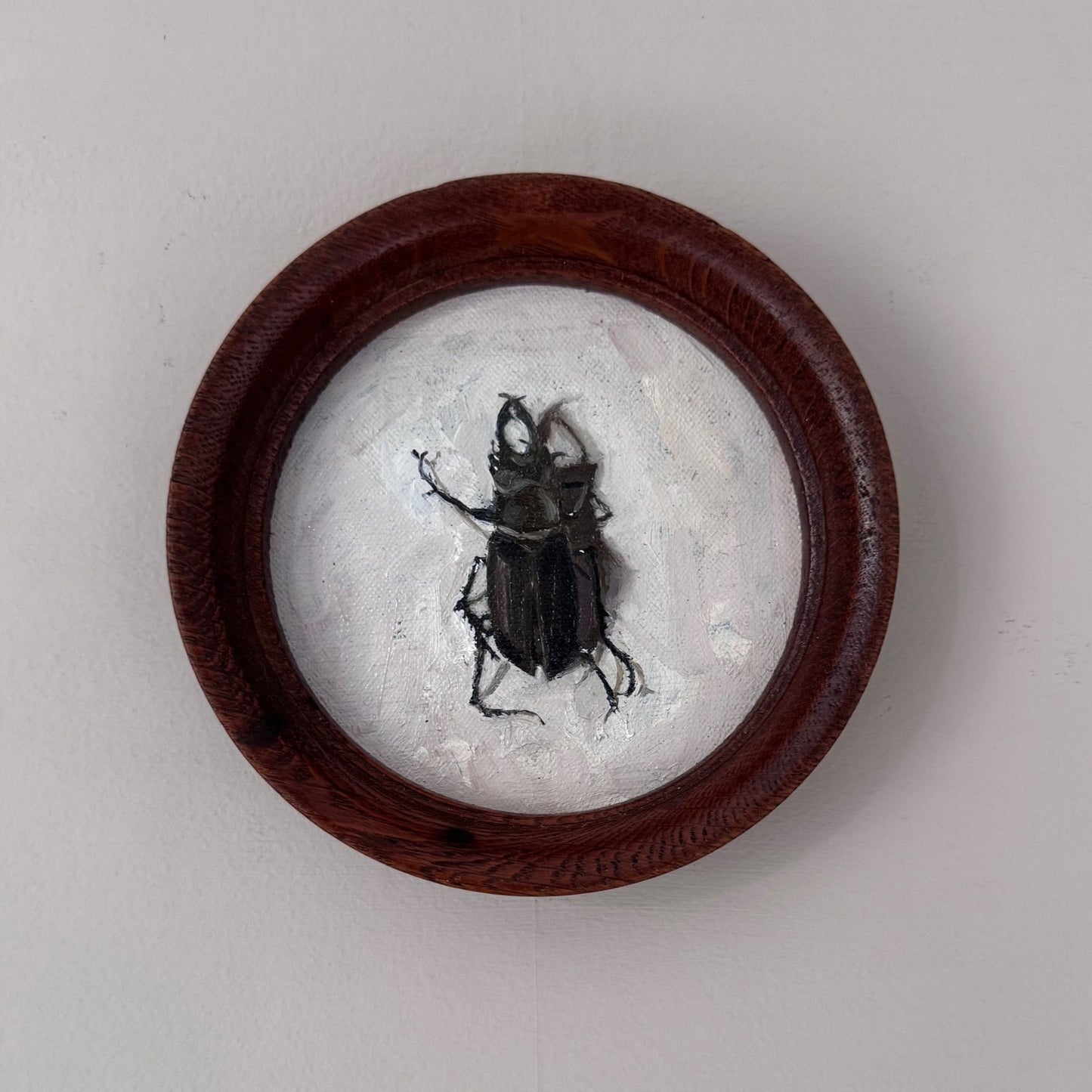 Stag Beetle