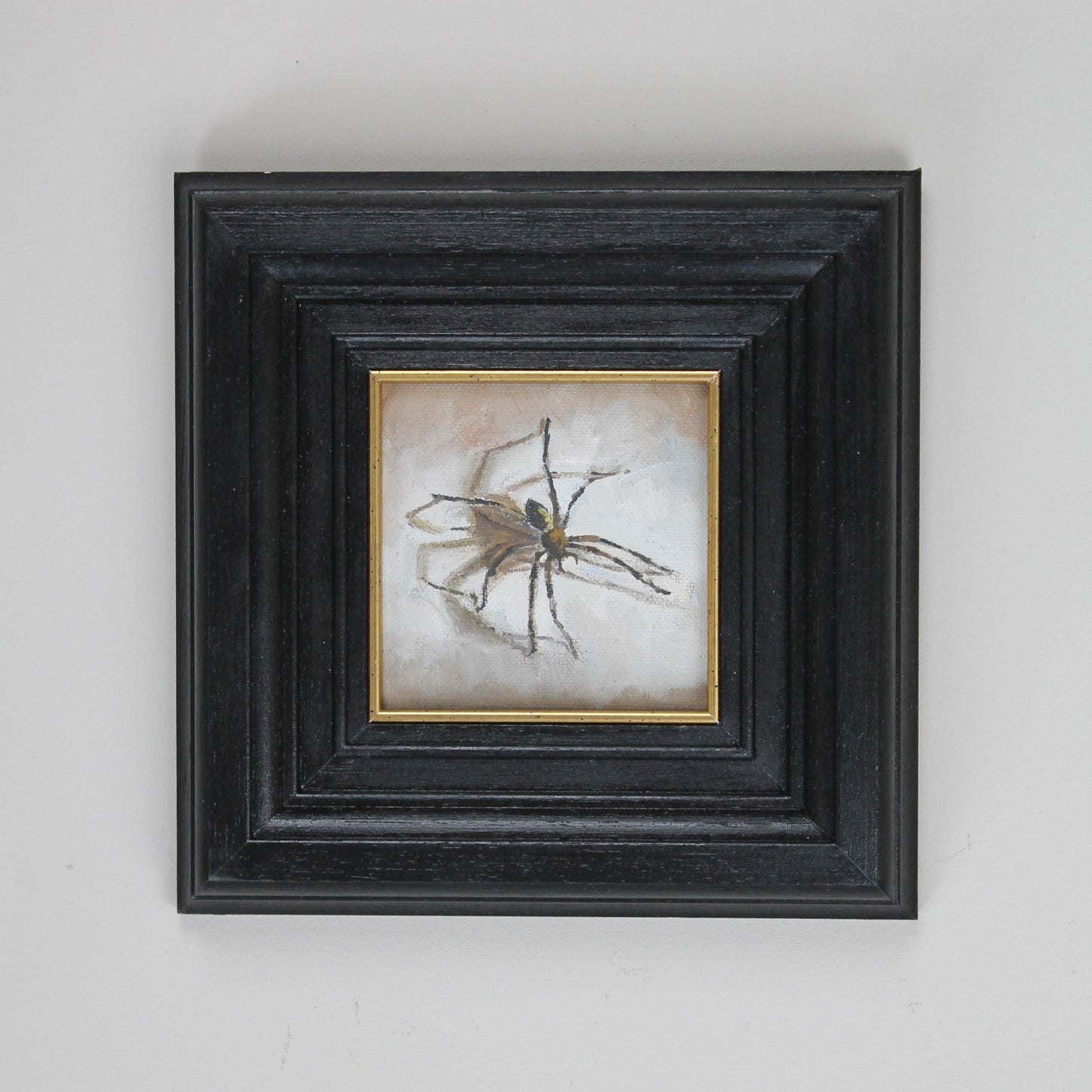 House Spider