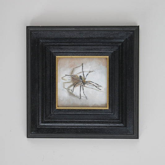 House Spider
