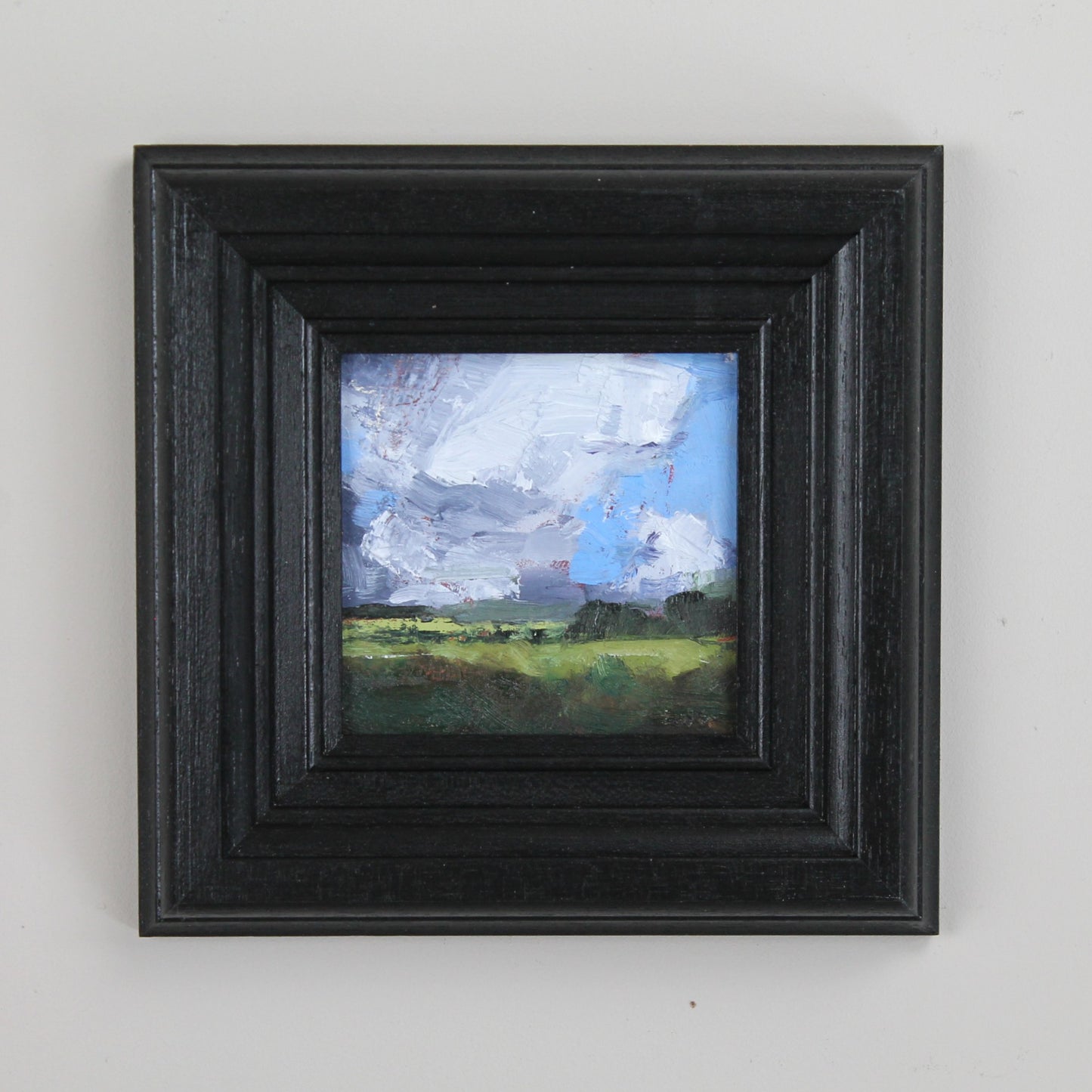 Little landscape - anvil cloud