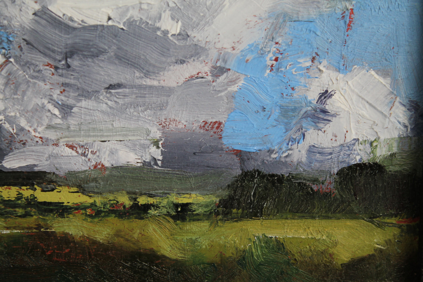 Little landscape - anvil cloud